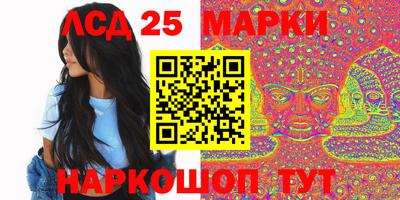 гашик Кингисепп