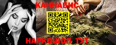 гашик Кингисепп