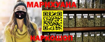 гашик Кингисепп