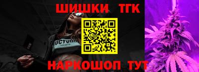 гашик Кингисепп