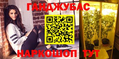 гашик Кингисепп