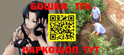 хмурый Бийск