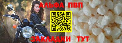 гашик Кингисепп