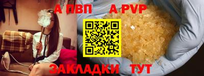 гашик Кингисепп