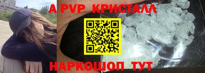 гашик Кингисепп