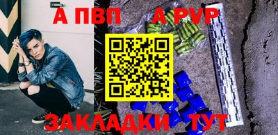 гашик Кингисепп