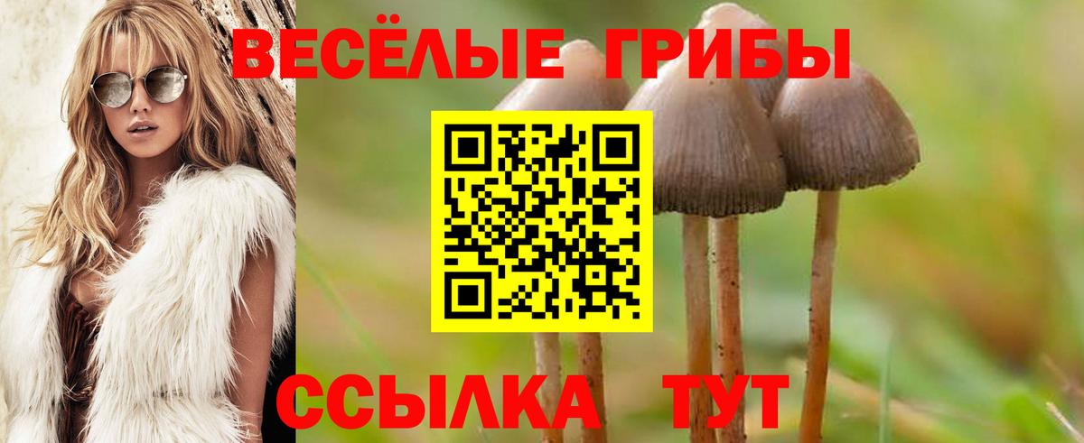 Псилоцибиновые грибы GOLDEN TEACHER Светлоград