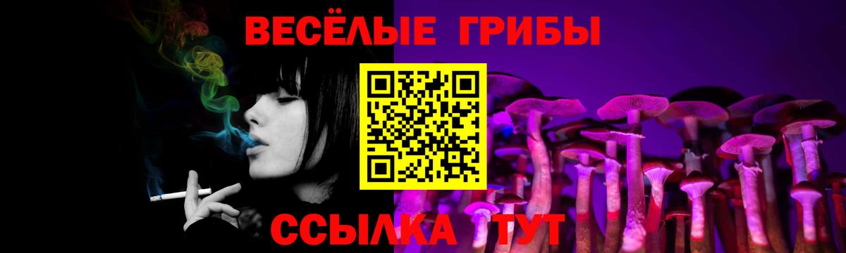Галлюциногенные грибы ЛСД  Светлоград 