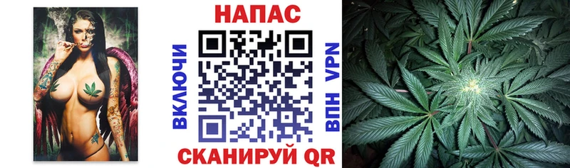 блэк спрут вход  Светлоград  Бошки Шишки тримм  купить наркотики цена 
