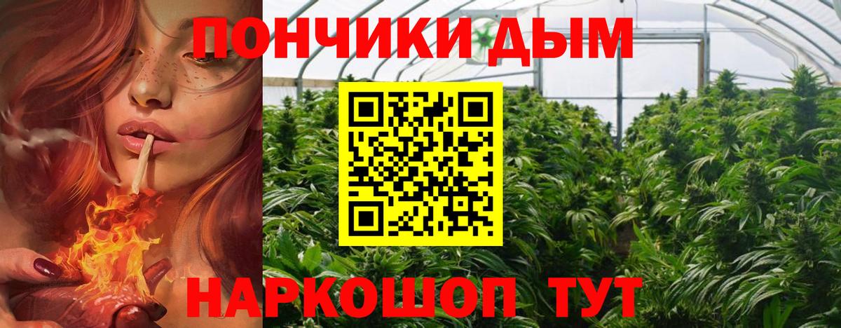 Шишки марихуана семена  Вход с VPN  МАРИХУАНА Amnesia  Бошки Шишки White Widow  Светлоград 